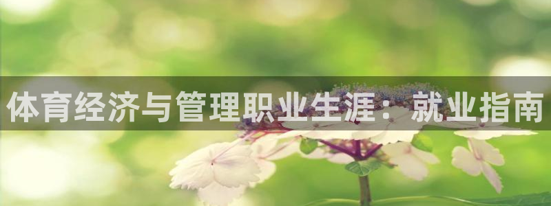 必一运动aop：体育