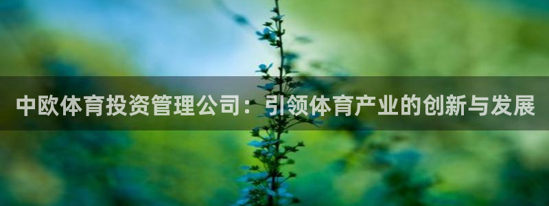 必一体育服下载最新版