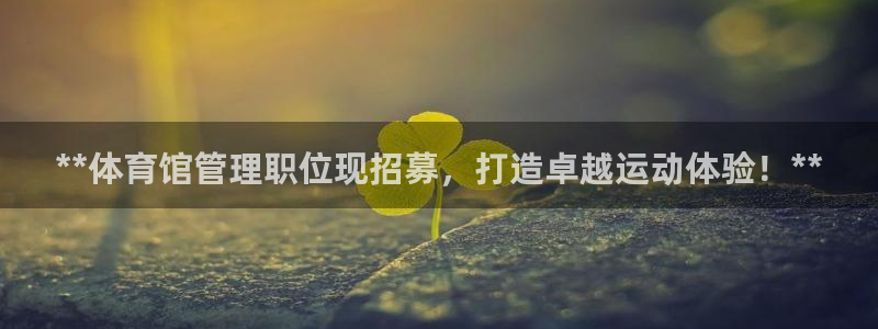 必一体育下载入口