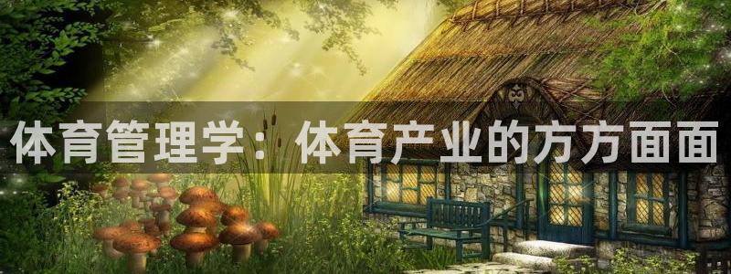 必一体育网页登录版官网