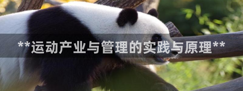 必一运动·(b-sp