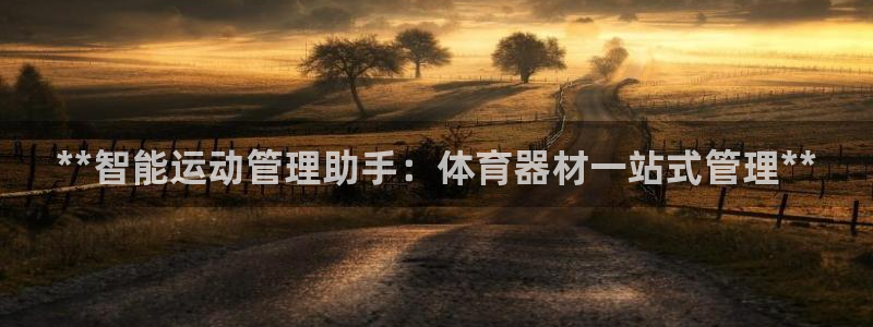 必一体育手机下载：*