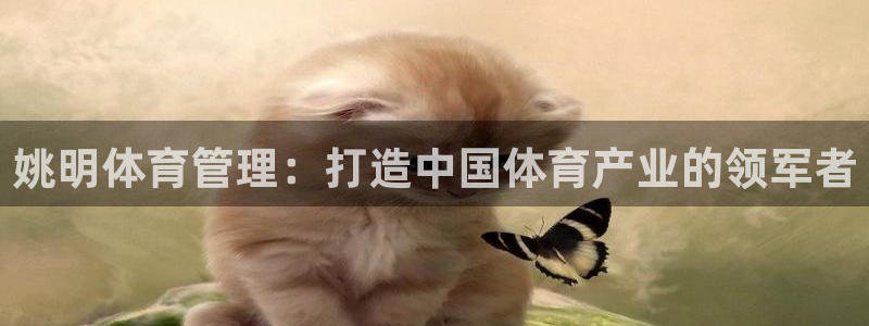 必一体育怎么下载：姚