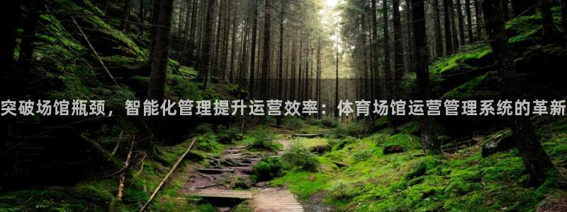 必一体育旧版：突破场