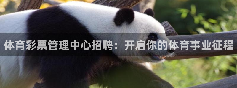 必一体育运动下载