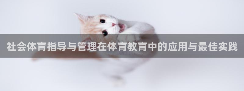 必一体育网页登陆：社