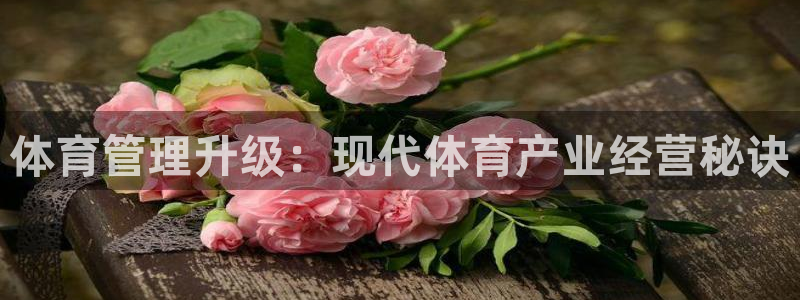 必一体育在线入口