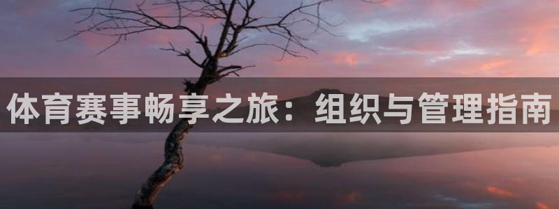 必一体育sport网页版