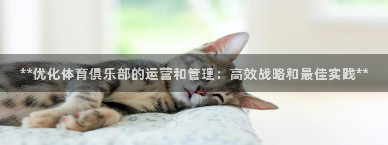 必十二和必一的副作用