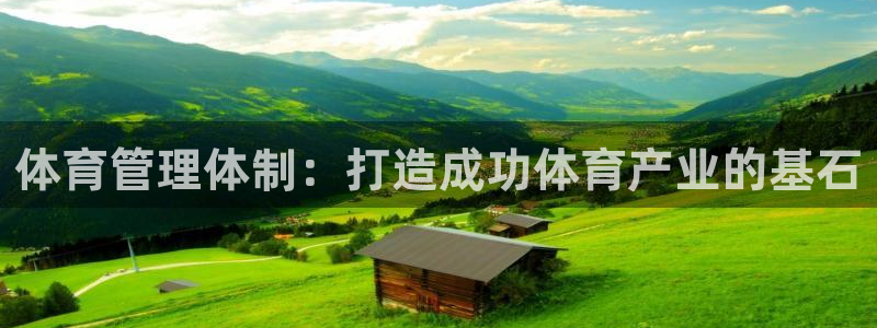 必一体育旧版