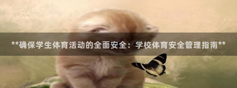 必一体育sport官