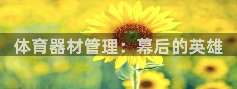 必一体育网站：体育器