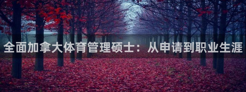 必一运动 b 体育素