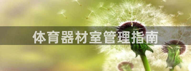 必一体育是哪里的台子
