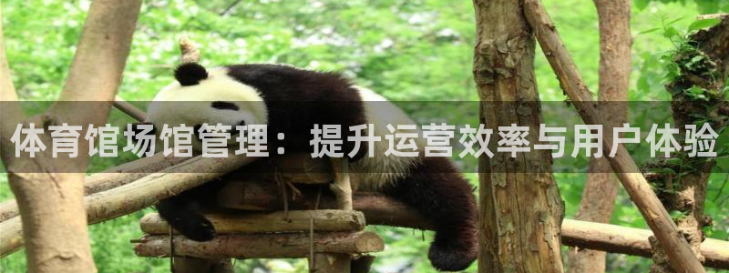 必一运动 b 体育素