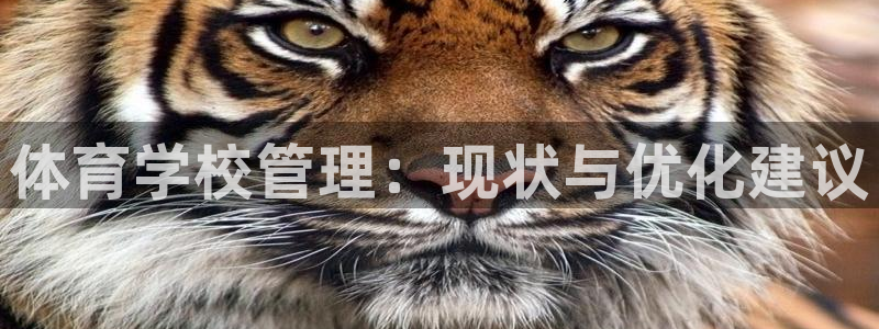 必一体育怎么下载