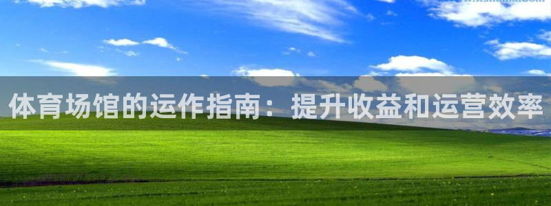 必一体育验证码