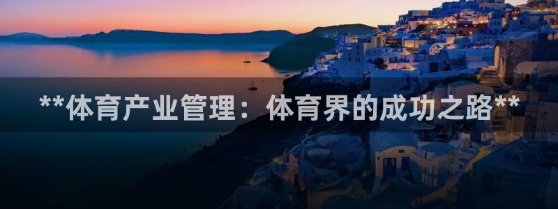 必一体育在哪下：**体育产业管理：体育界的成功之路**
