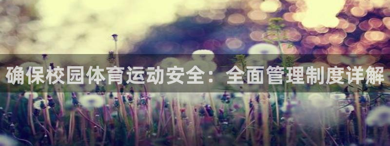 必一体育能提现大金额