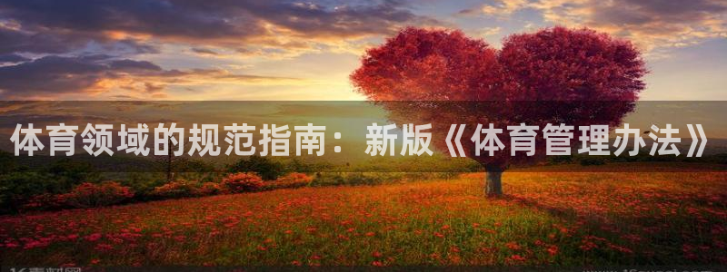 必一体育是哪里的台子