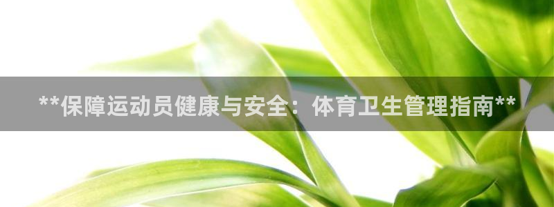 必一体育游戏玩法