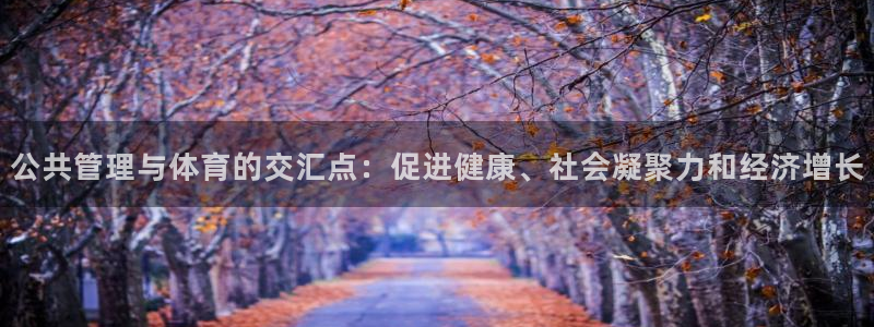 必一体育下载意思