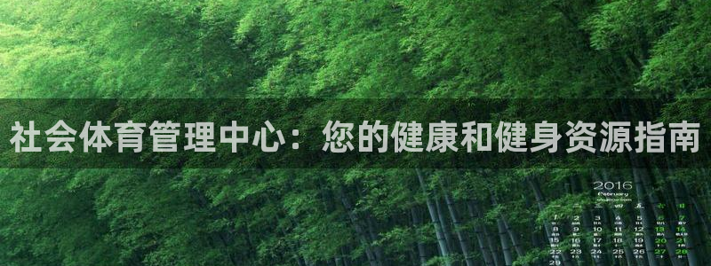 必一体育最新官网入口