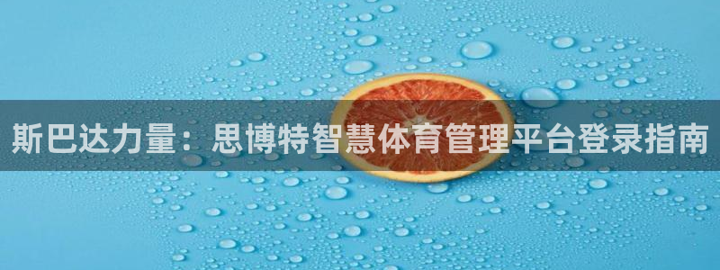 必一体育APP下载安装