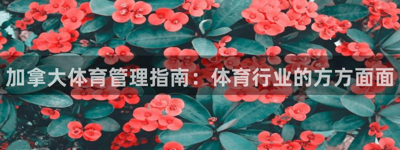 b体育必一下载