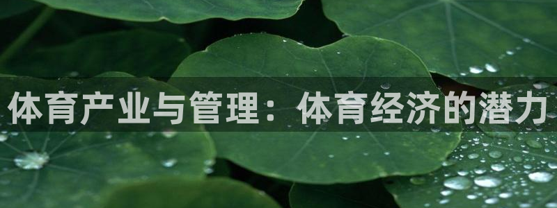 Bsport体育必一