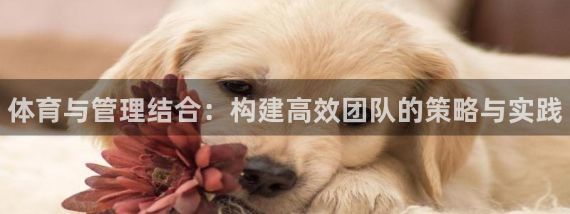必一运动tieba.