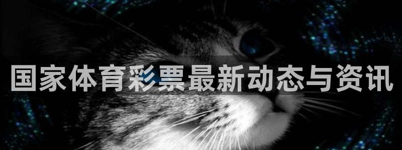 必一体育全站在线登录入口