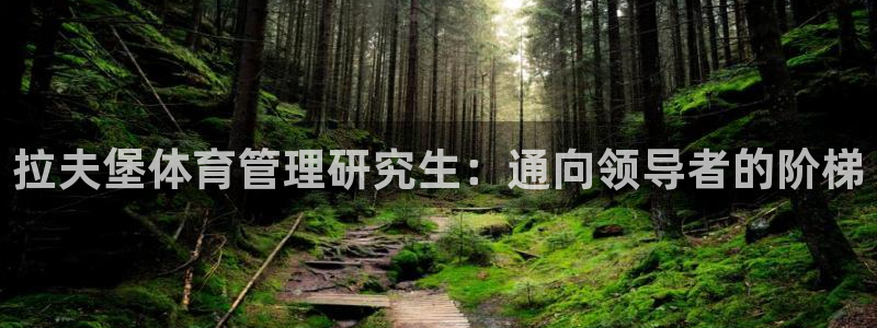 必一体育bsport