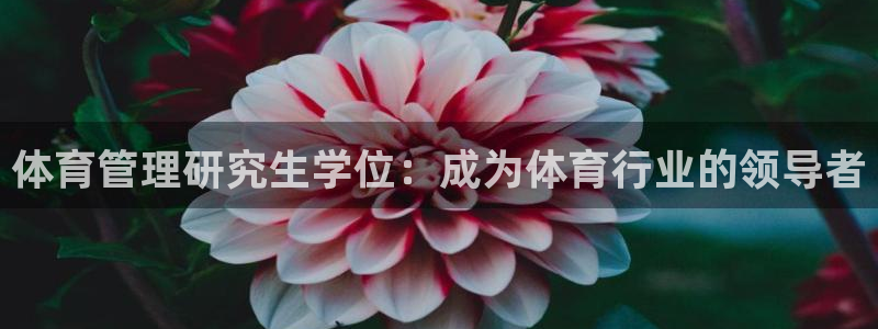 必一体育运动下载：体