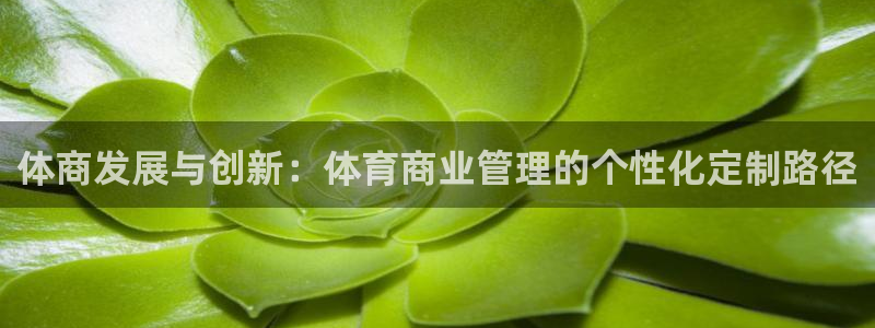 必一体育电子app：