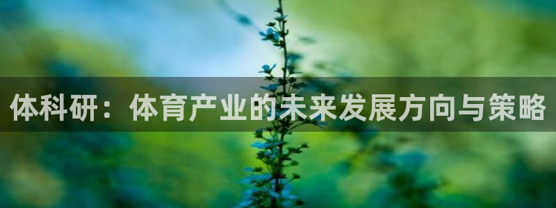 必一体育在哪下：体科