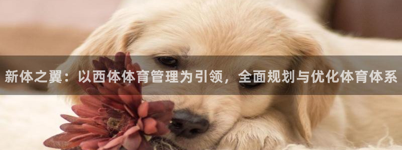 必一运动·(B-Sp