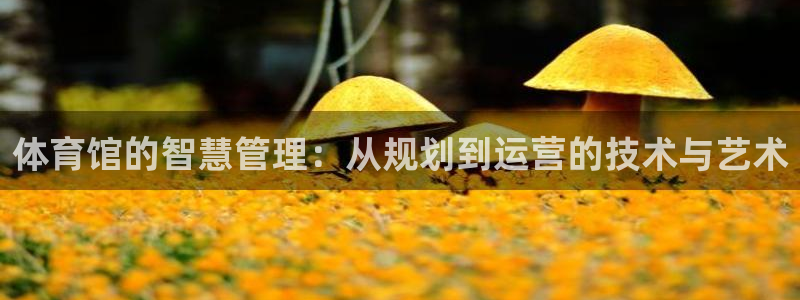 必一运动官网：体育馆的智慧管理：从规划到运营的技术与艺术