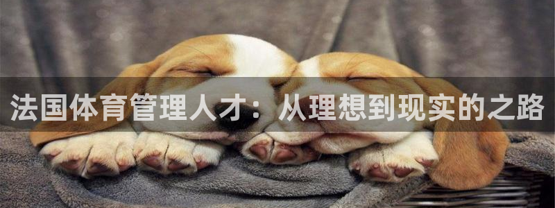 必一体育app官方下载入口：法国体育管理人才：从理想到现实的