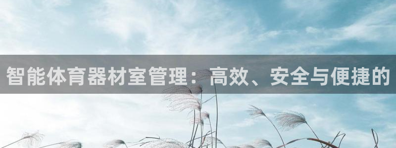 必一体育app下载装