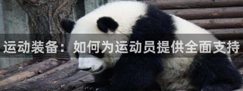 必一体育怎么下载：运