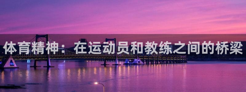 氵必一一厂一：体育精神：在运动员和教练之间的桥梁