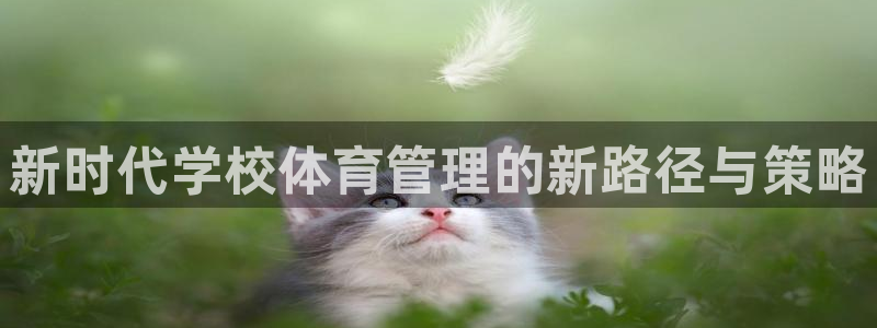 必一体育sport装