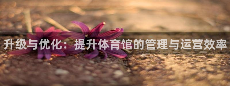 必一运动体育官网：升