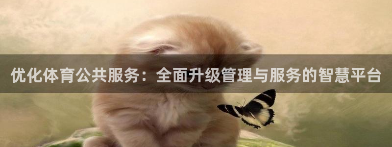 Bsport体育必一