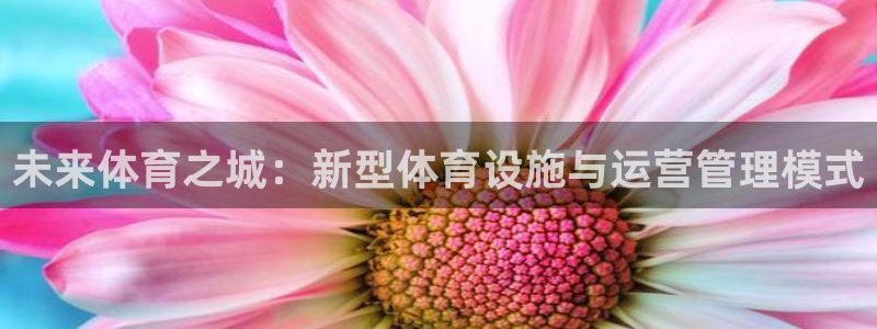 氵必一一厂一：未来体