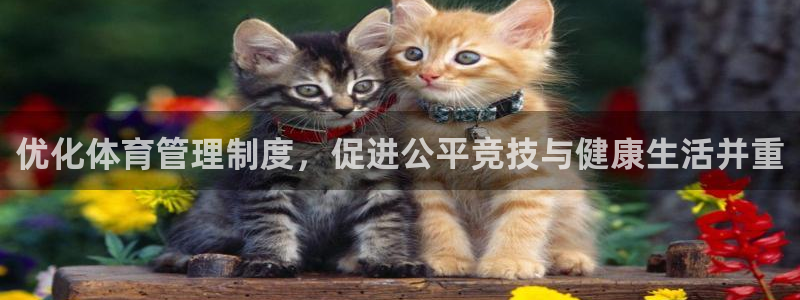 必一体育app官方网站：优化体育管理制度，促进公平竞技与健康