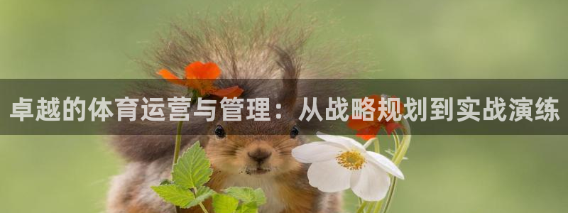 必一体育APP下载安