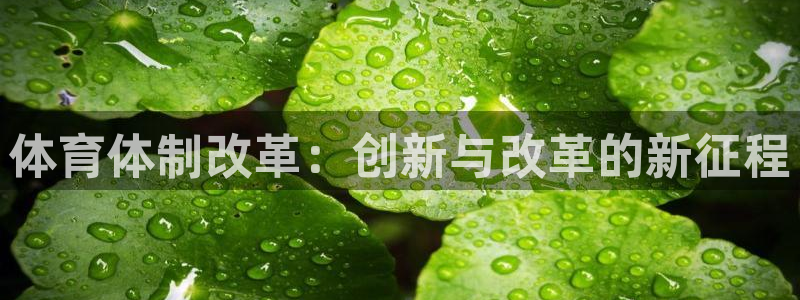 必一体育app平台下