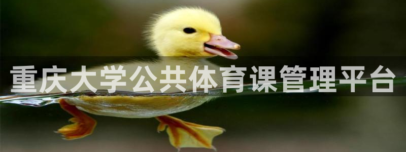 必一体育官方入口：重